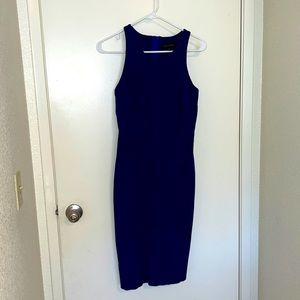 Size 8 Banana Republic Bodycon Dress